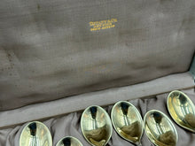 Load image into Gallery viewer, Tiffany & Co Chrysanthemum Sterling Silver Boxed Ice Cream Set